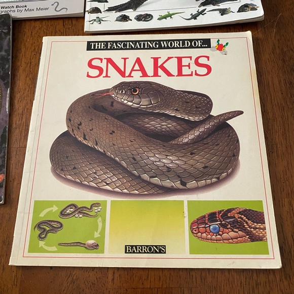 Snakes. Four paperback books about snakes and reptiles. - Picture 3 of 14